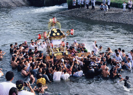 gion08