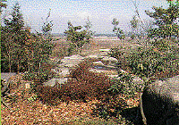 宮山公園5