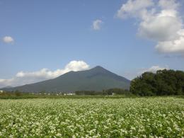 寺上野