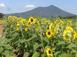 0812ジュニア