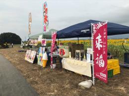 ひまわり8.28⑤