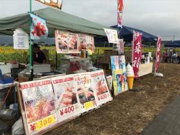 ひまわり8.28⑥