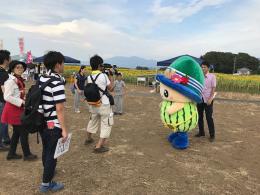 ひまわり8.30④