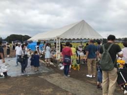 ひまわり9.1③
