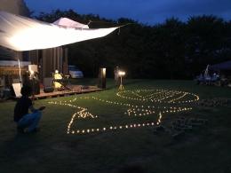 8.24ひまわり4