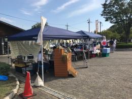 8.24ひまわり6