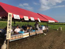 8.26ひまわり3