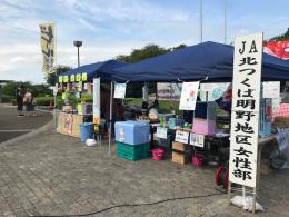 8.31ひまわり5