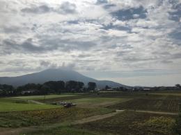 9.24ひまわり4