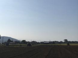 8.27ひまわり4
