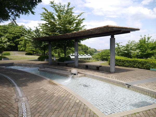 ジャブジャブ池