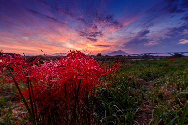 ９月２