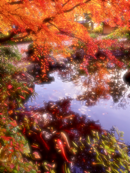 １０月３