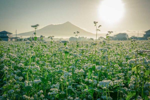 10月②