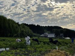 2022ひまわりカルチ③