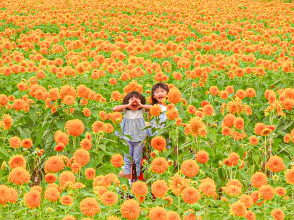 夏賞①cocoro266.jpg