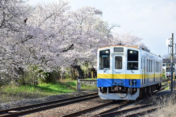 ２２春５