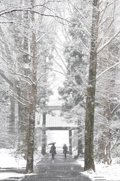 はだれ雪