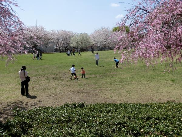 心の触れ合い